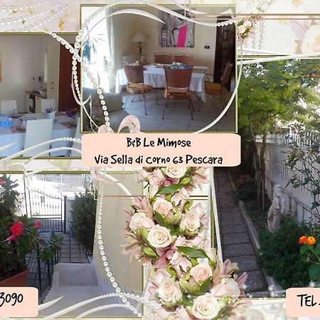 Le Mimose Acomodação com café da manhã Pescara Exterior foto